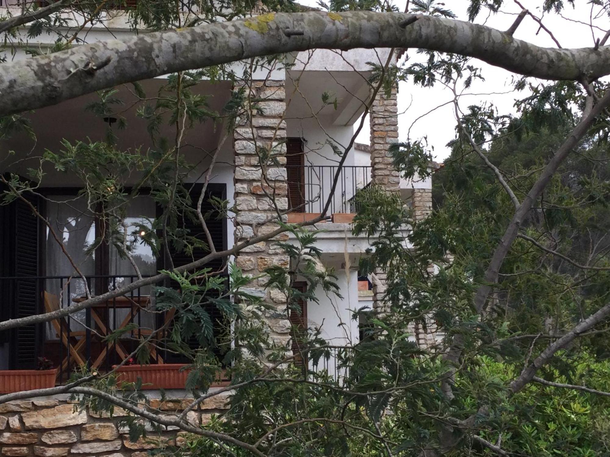La Coma Sa Riera Daire Begur Dış mekan fotoğraf